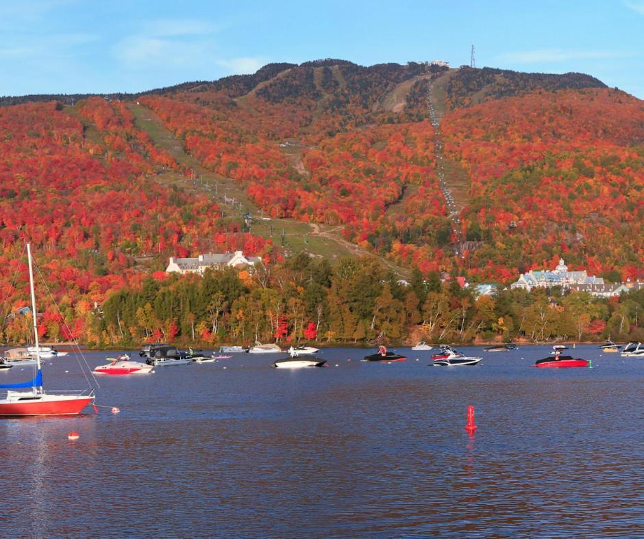 Amazing Lakemountain View 5Min To Tremblant 491 Mont-Tremblant Eksteriør billede